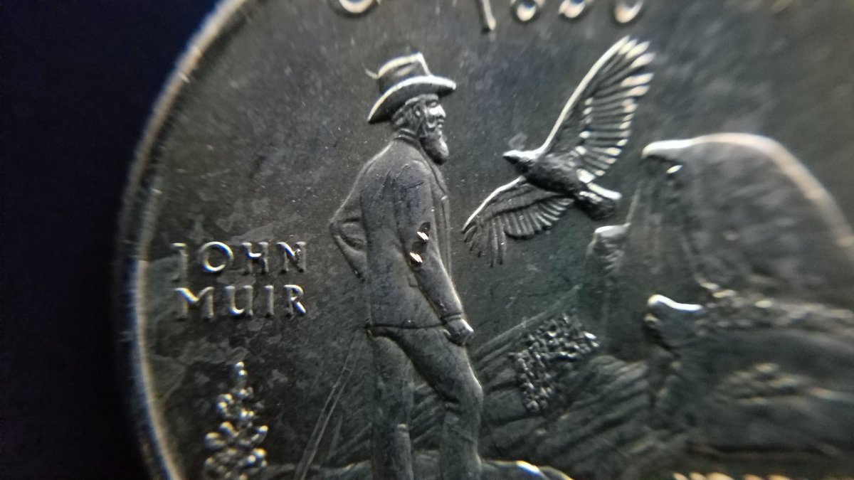 2005-P-California.-Gold-In-Color-5.68g-Die-Errors?