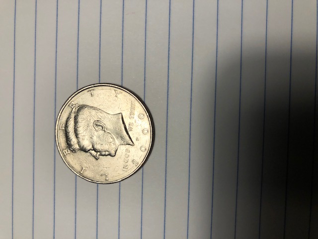 Rotated-Die-Real-Or-Fake?