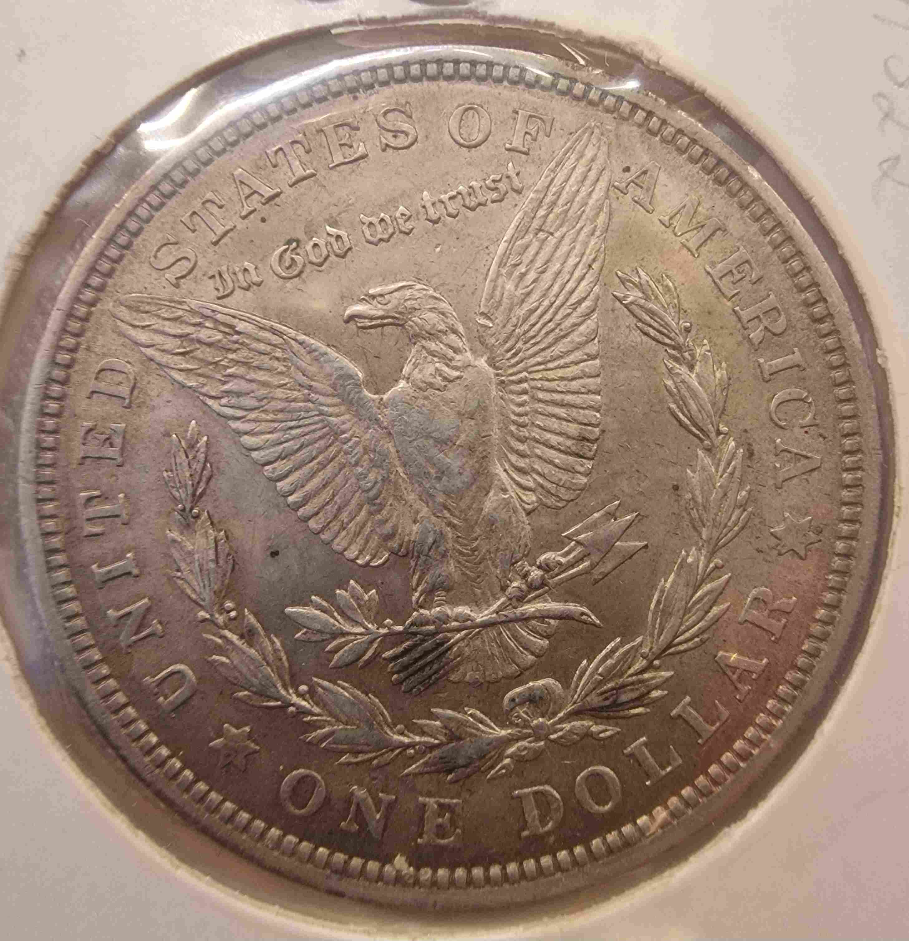 So-I-Accidentaly-Bought-Some-Morgans.