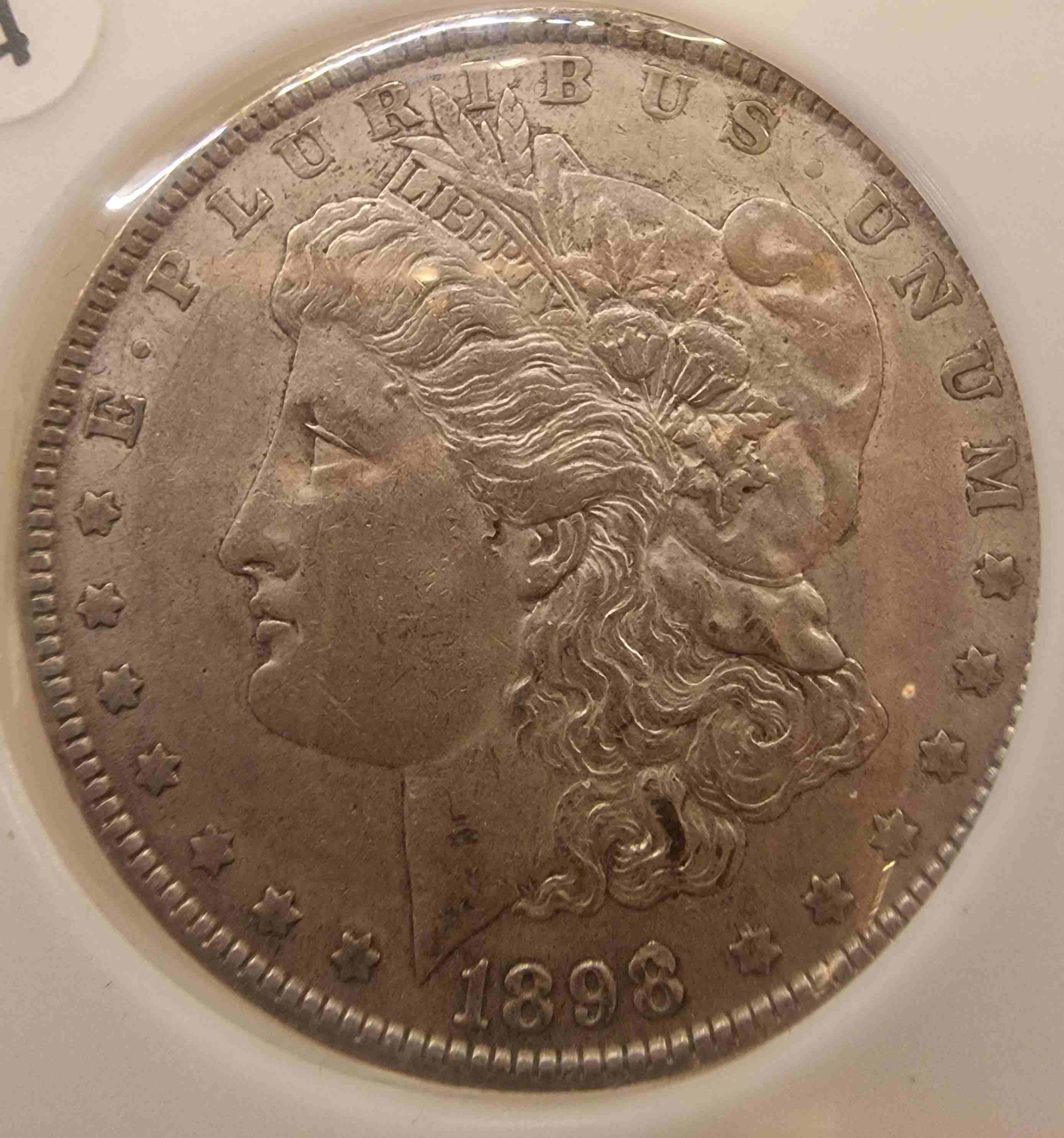 So-I-Accidentaly-Bought-Some-Morgans.