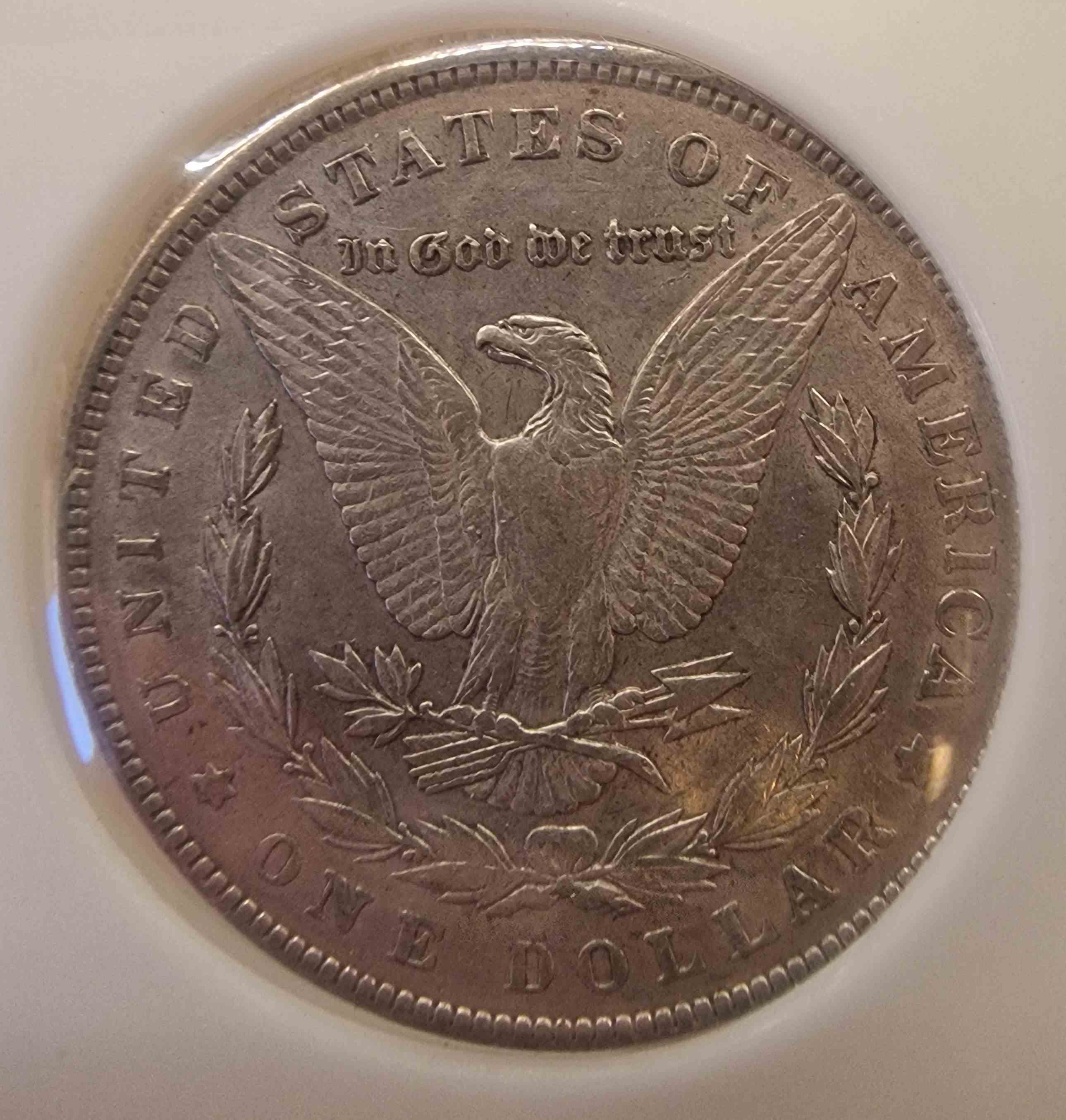 So-I-Accidentaly-Bought-Some-Morgans.