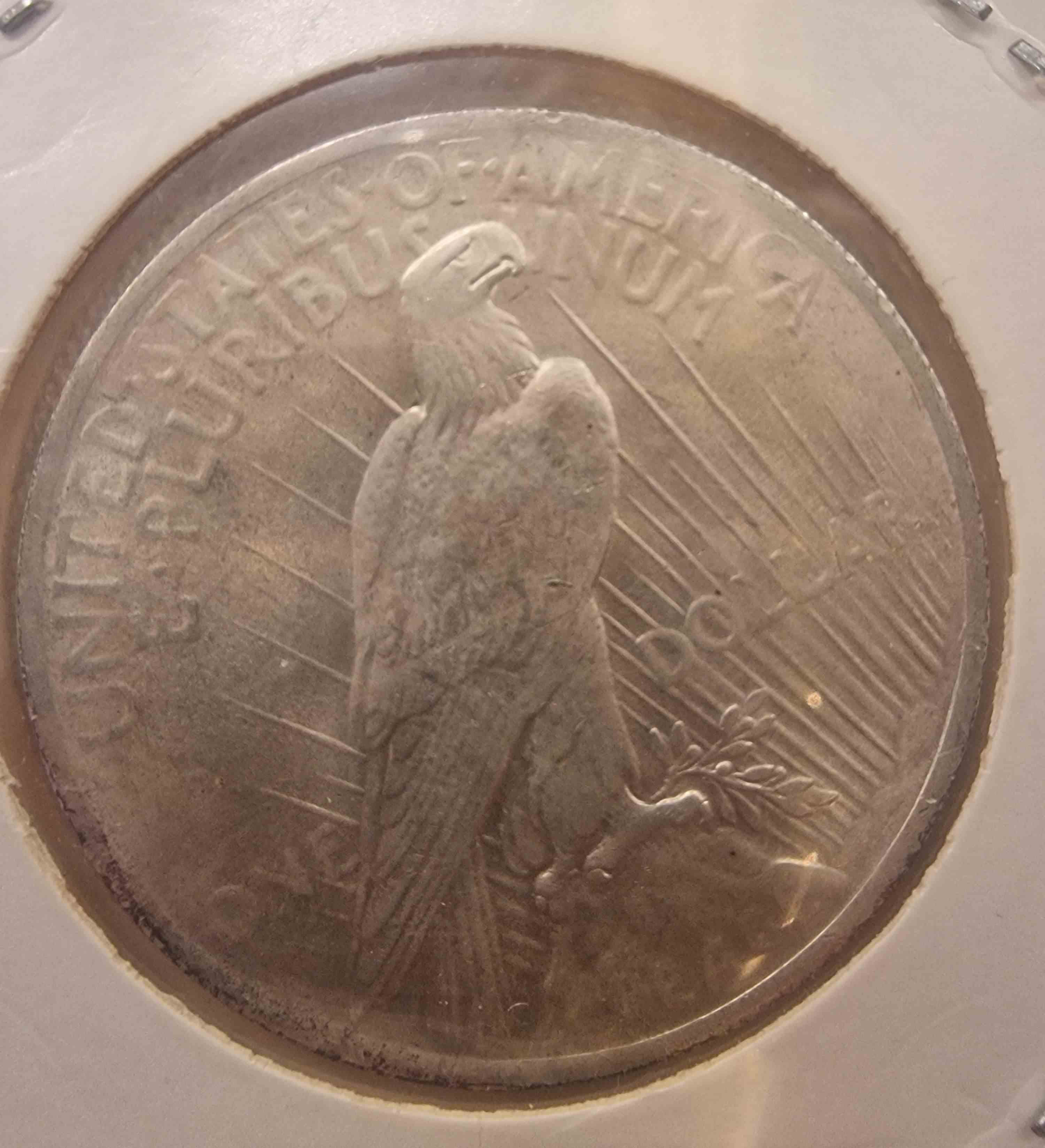 So-I-Accidentaly-Bought-Some-Morgans.