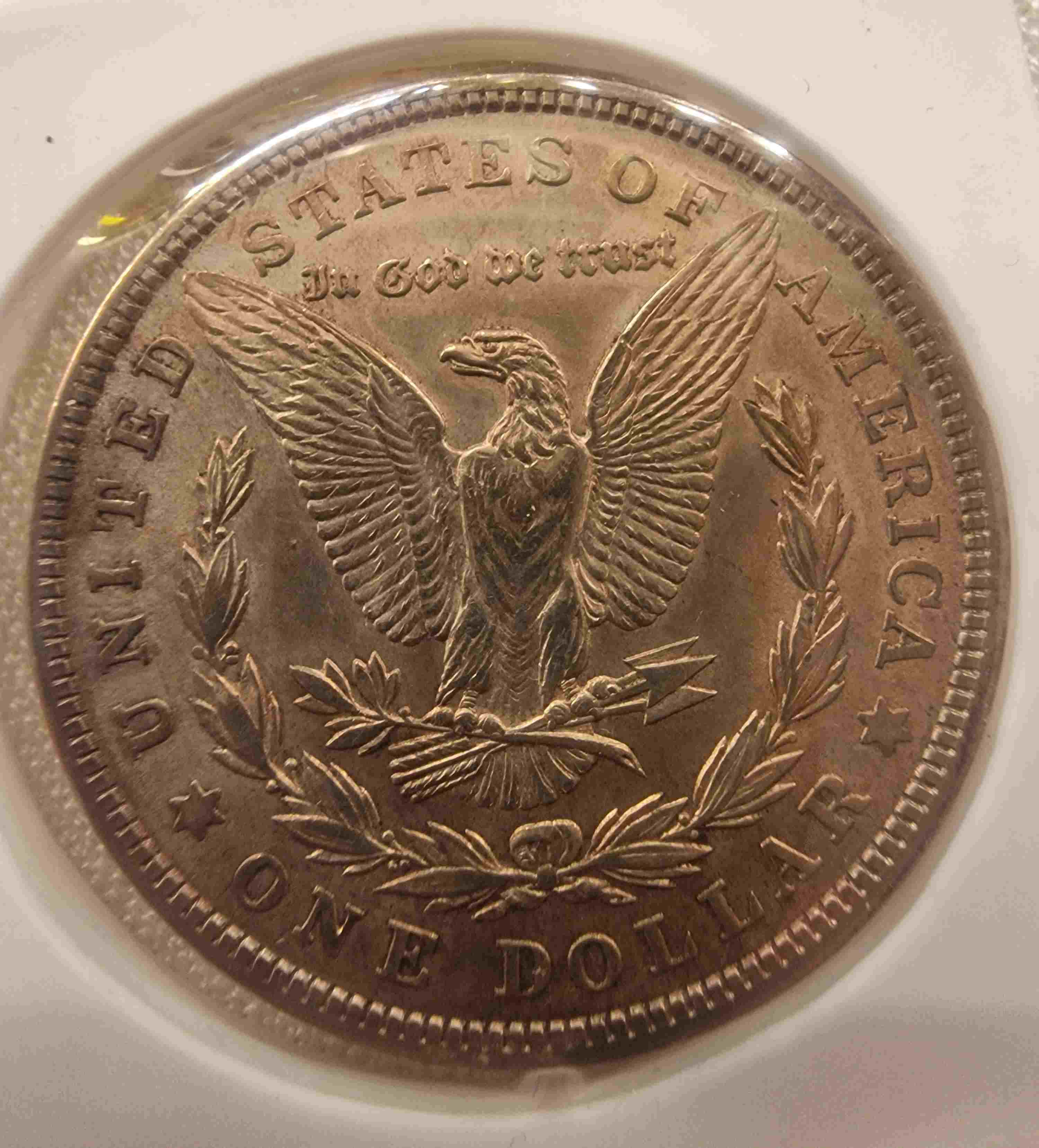 So-I-Accidentaly-Bought-Some-Morgans.