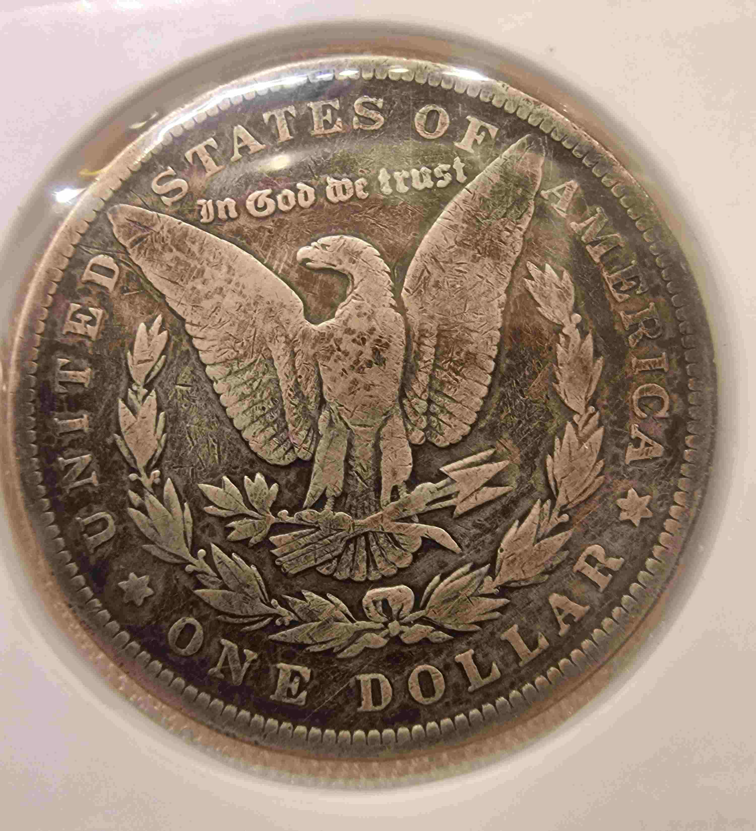 So-I-Accidentaly-Bought-Some-Morgans.