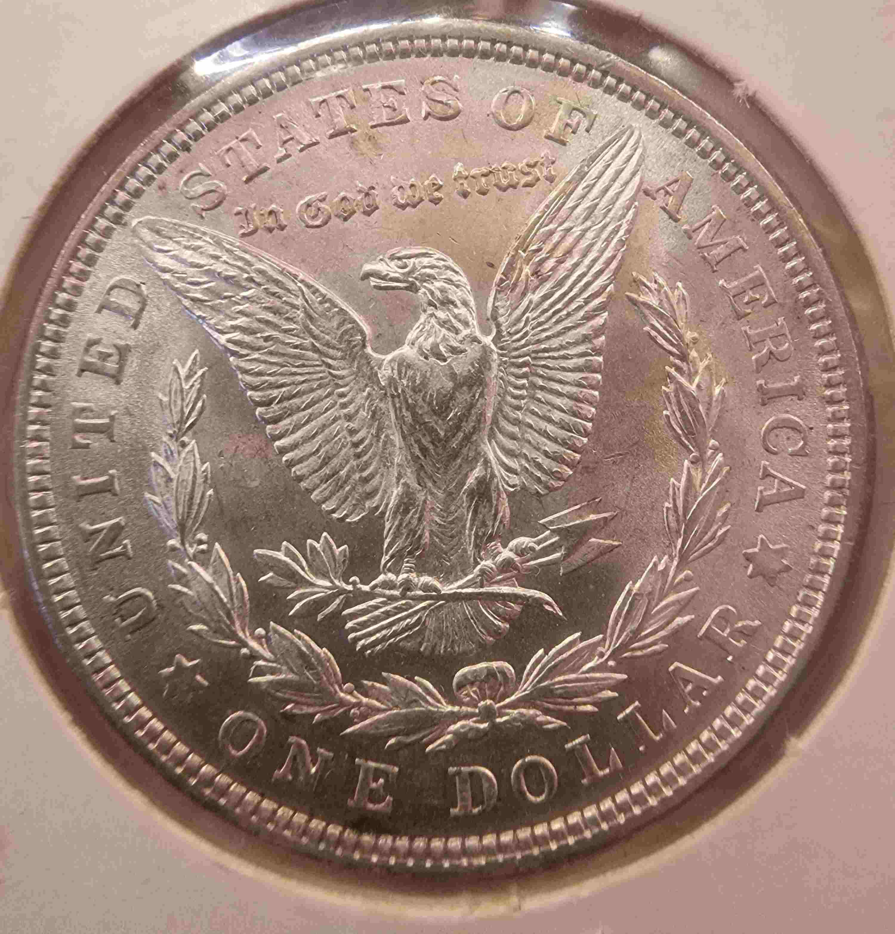 So-I-Accidentaly-Bought-Some-Morgans.