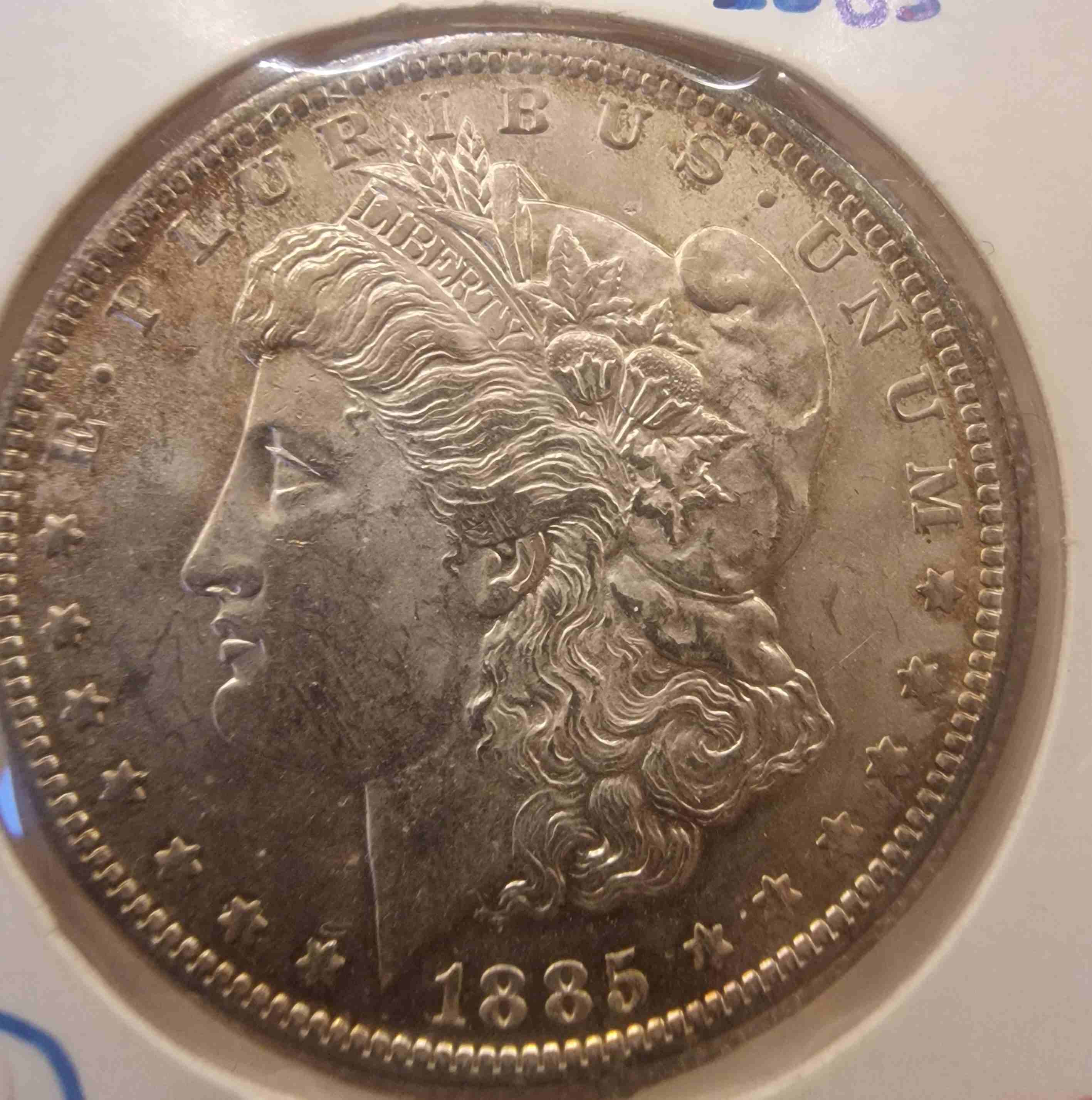 So-I-Accidentaly-Bought-Some-Morgans.