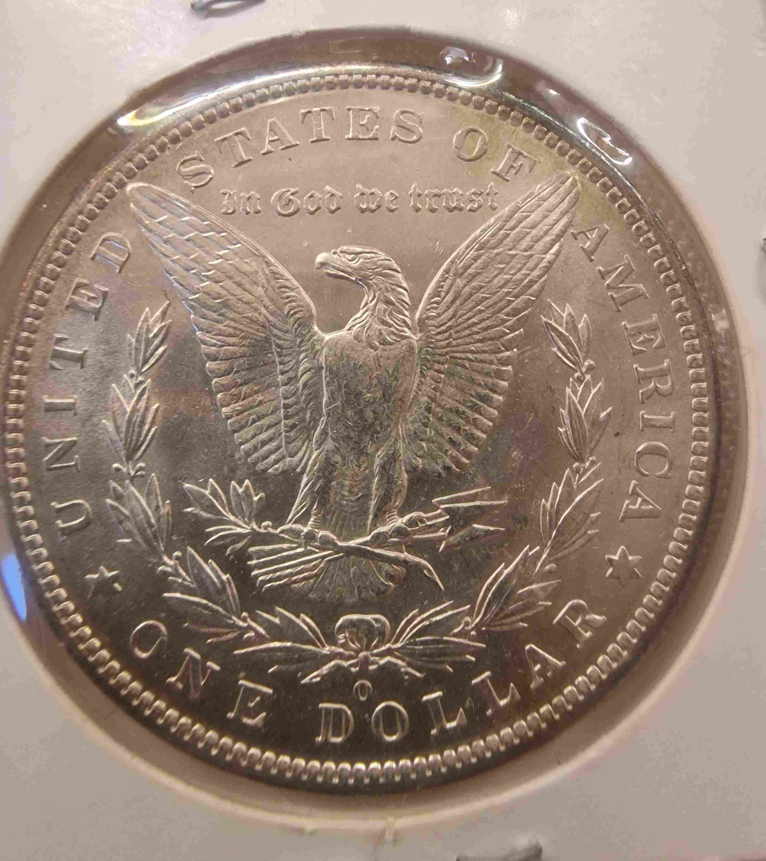 So-I-Accidentaly-Bought-Some-Morgans.