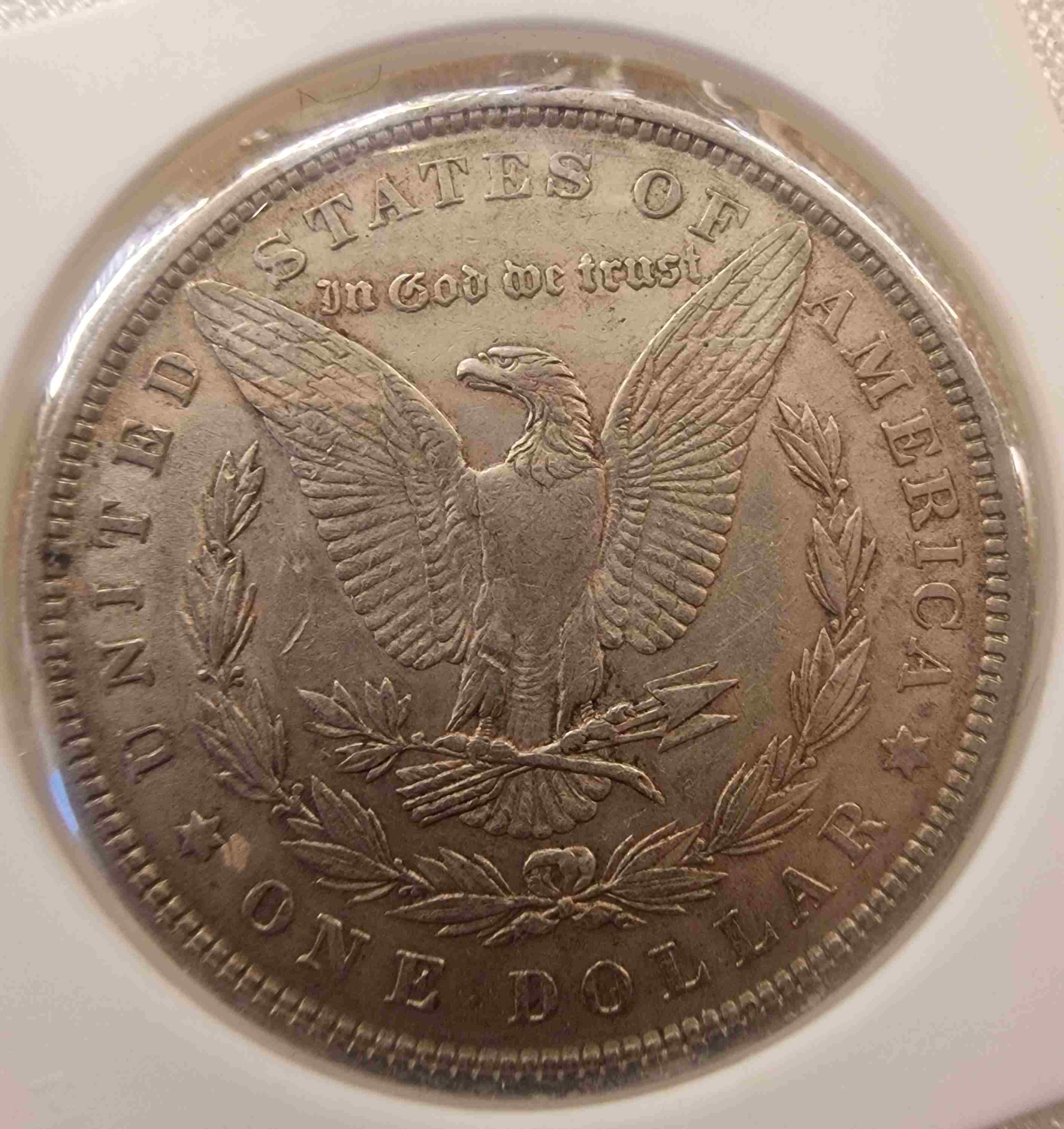 So-I-Accidentaly-Bought-Some-Morgans.