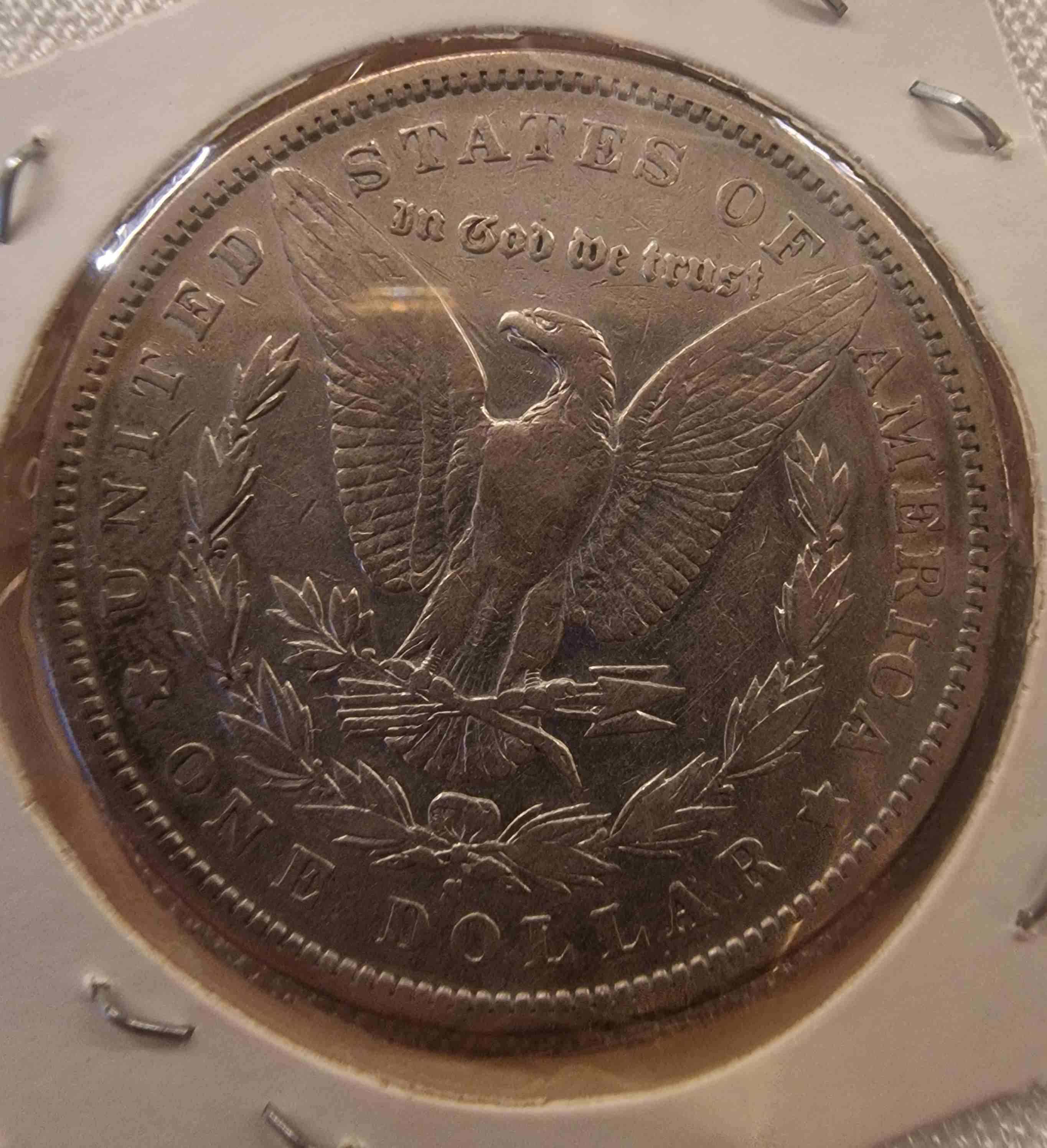 So-I-Accidentaly-Bought-Some-Morgans.