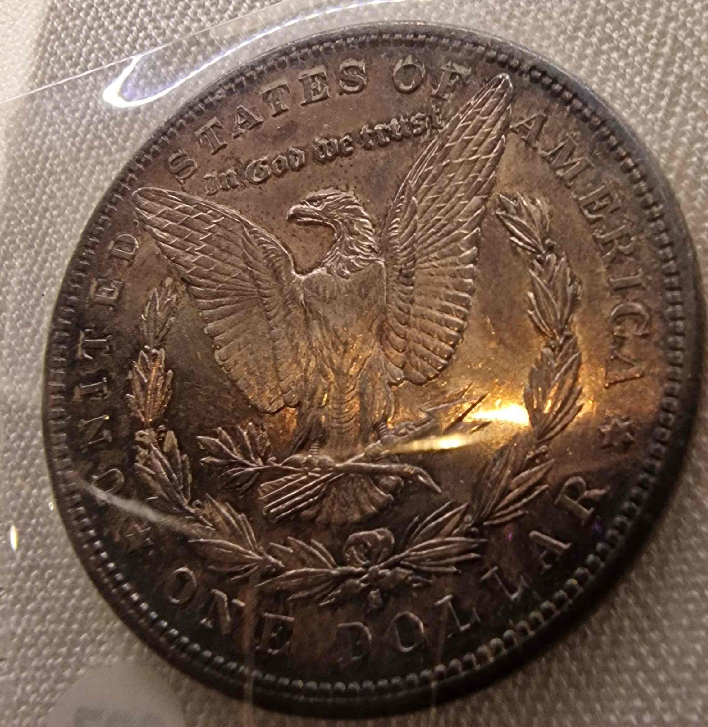 So-I-Accidentaly-Bought-Some-Morgans.