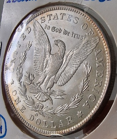 So-I-Accidentaly-Bought-Some-Morgans.