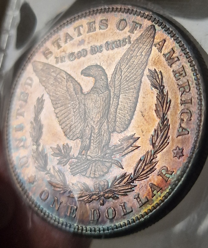 1881-S-Morgan-Dollar-Education-Needed-Could-This-Be-A-Prooflike-Coin?