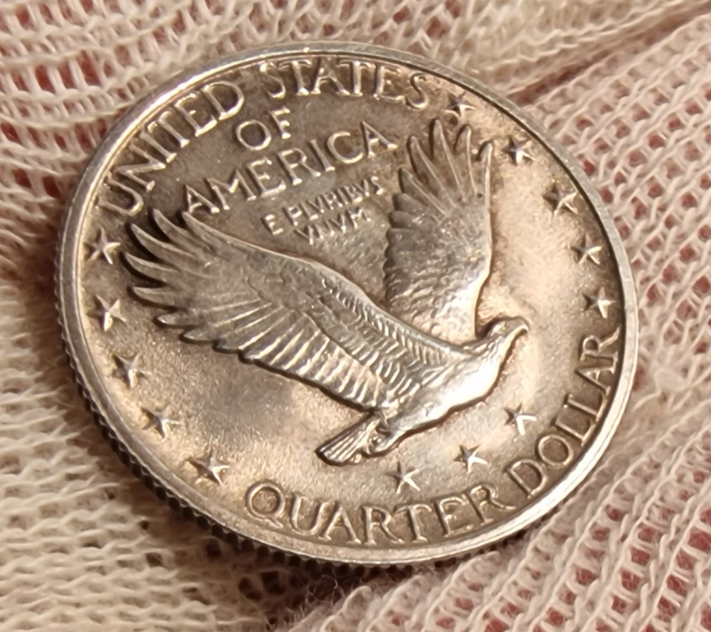 1924-S-Standing-Liberty,-It-Has-Arrived-Fh?-Did-I-Mess-Up