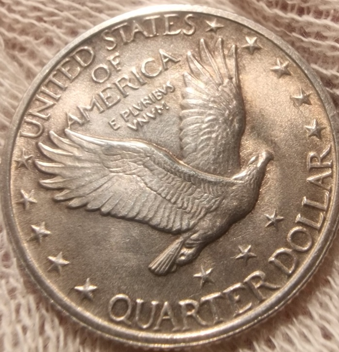 1924-S-Standing-Liberty,-It-Has-Arrived-Fh?-Did-I-Mess-Up