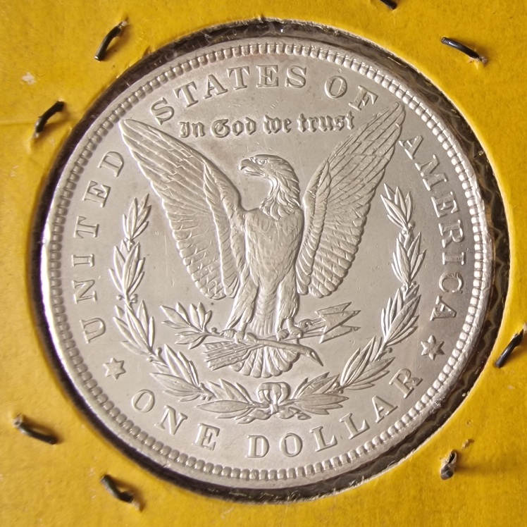 1886-P-Morgan-Cull-Dollar-For-Your-Grading