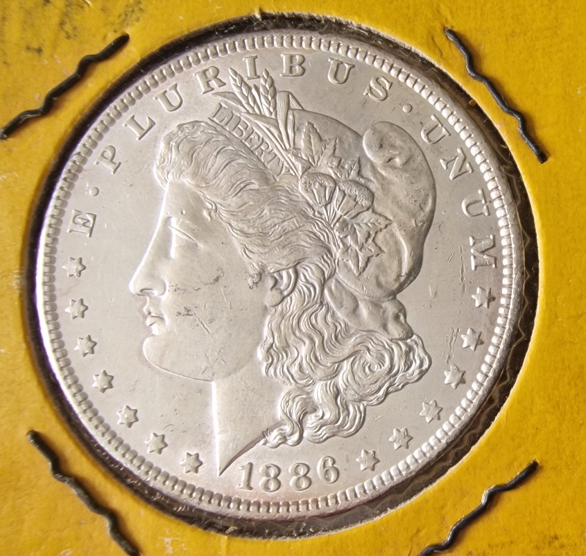 1886-P-Morgan-Cull-Dollar-For-Your-Grading