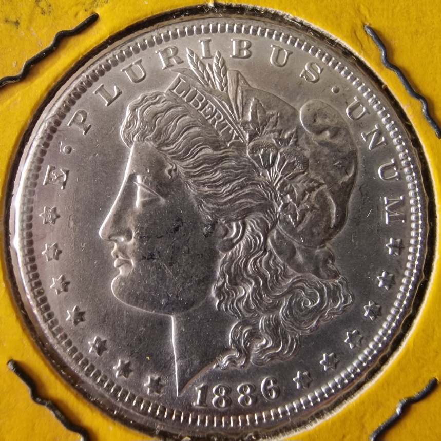 1886-P-Morgan-Cull-Dollar-For-Your-Grading