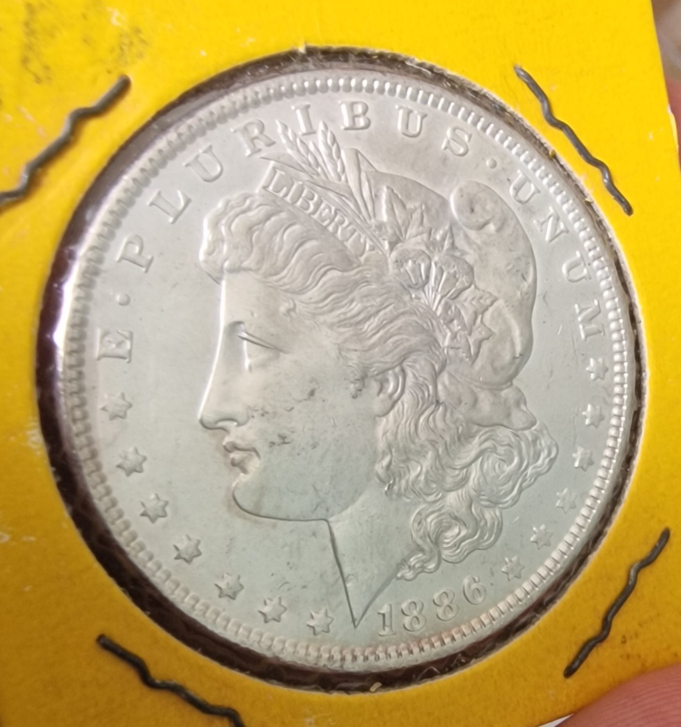 1886-P-Morgan-Cull-Dollar-For-Your-Grading