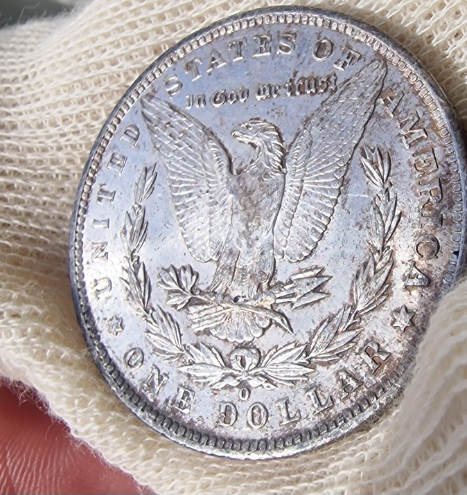 1886-O-Morgan-Dollar-For-Your-Grading