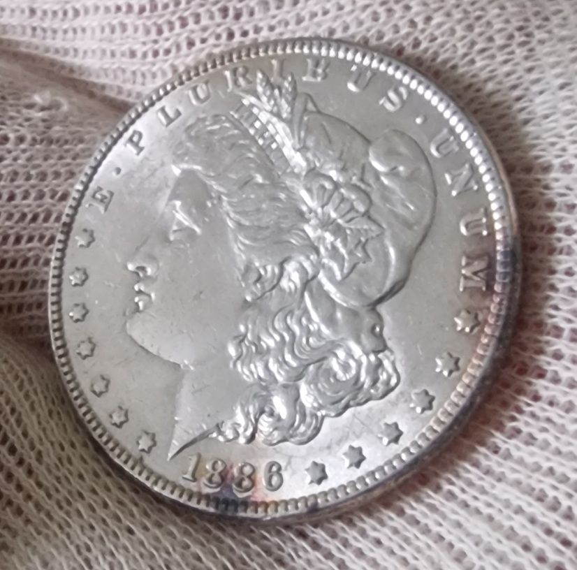 1886-P-Morgan-Dollar-Another-One-For-Grading