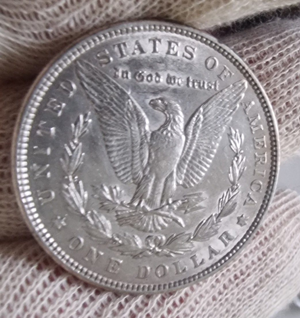1886-P-Morgan-Dollar-Another-One-For-Grading