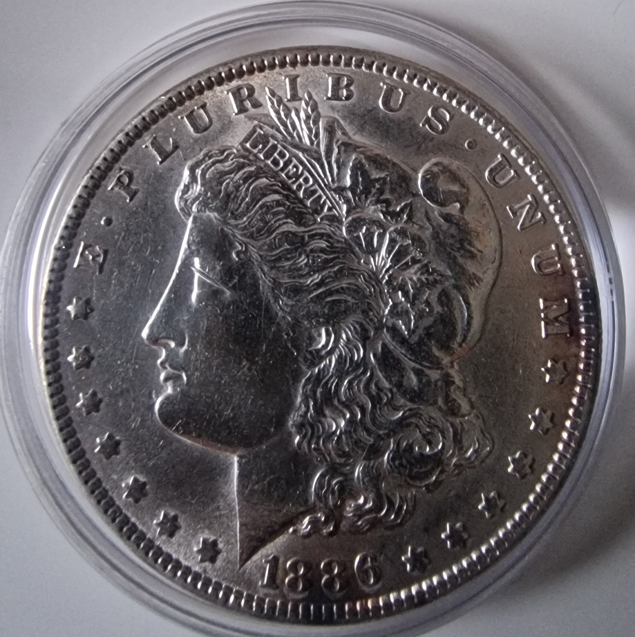1886-P-Morgan-Dollar-Another-One-For-Grading