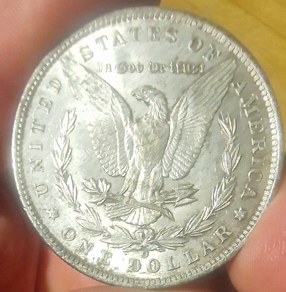 1886-O-Morgan-Dollar-For-Your-Grading