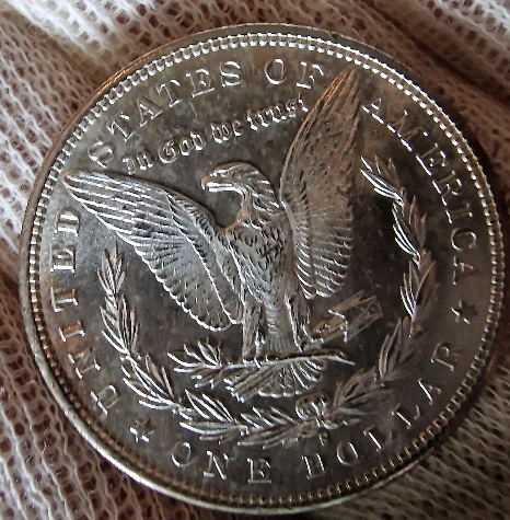 1881-S-Morgan-Dollar-For-Your-Grading