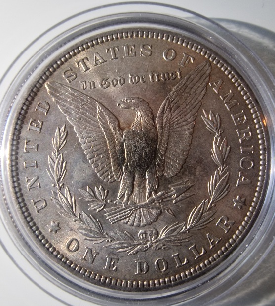 1882-P-Morgan-Ungraded-Toner-For-Grading