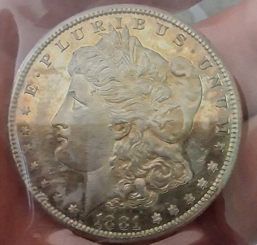 1881-S-Morgan-For-Your-Grading