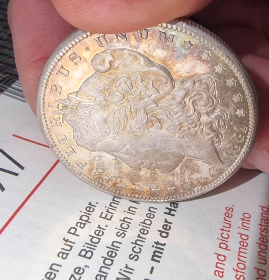 1881-S-Morgan-For-Your-Grading