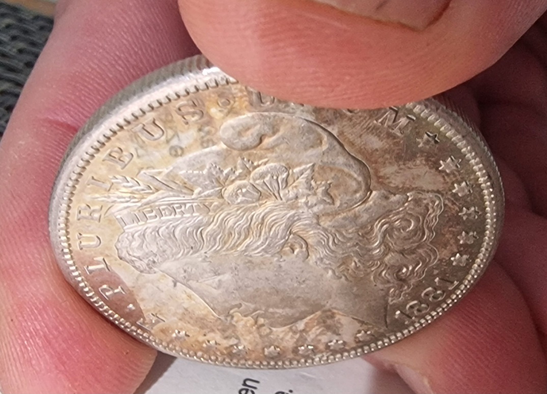 1881-S-Morgan-For-Your-Grading