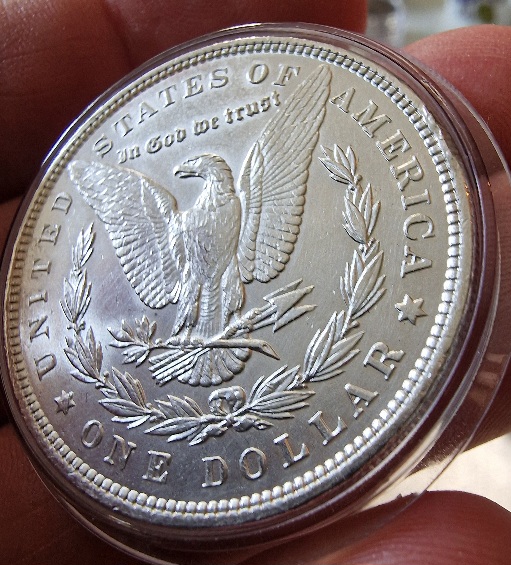 1886-P-Morgan-Cull-Dollar-For-Your-Grading
