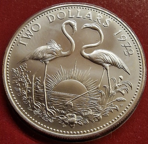 Post-Your-Bird-Coins