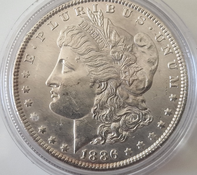 1886-P-Morgan-Cull-Dollar-For-Your-Grading