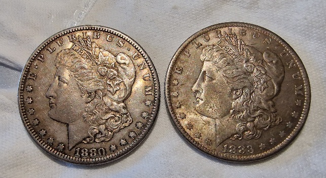2-New-Morgans-Am-I-Seeing-Ghosts?-One-Looks-Fat.
