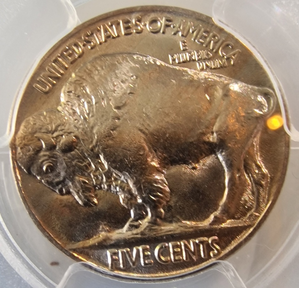 1930-Buffalo-You-Vs-PCGS-For-Fun