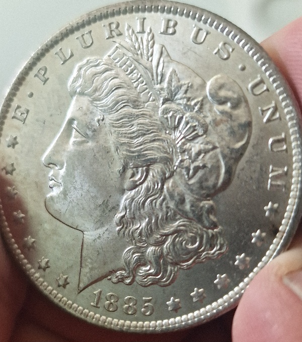 1885-O-Morgan-Straight-Or-Details-Grading-For-Fun-And-Learning