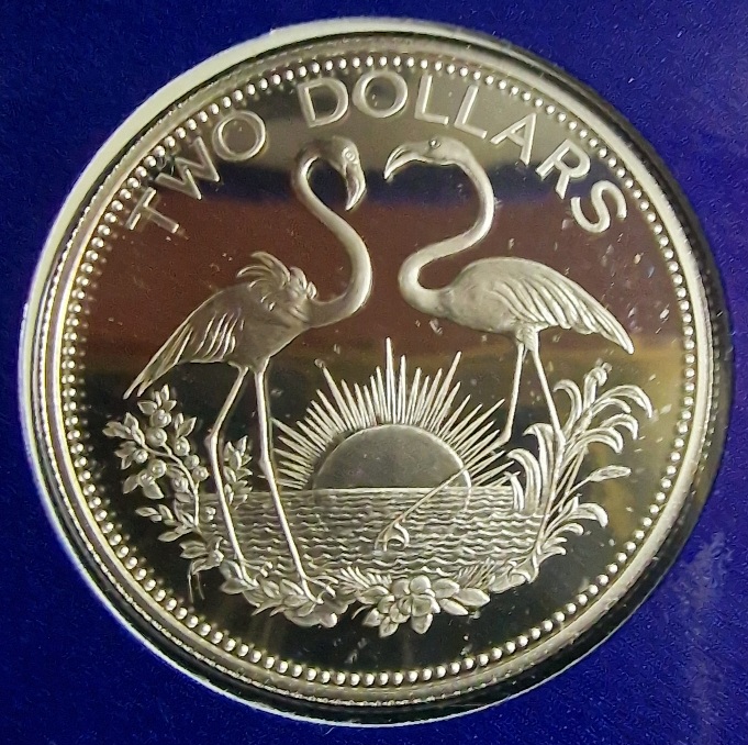 Post-Your-Bird-Coins