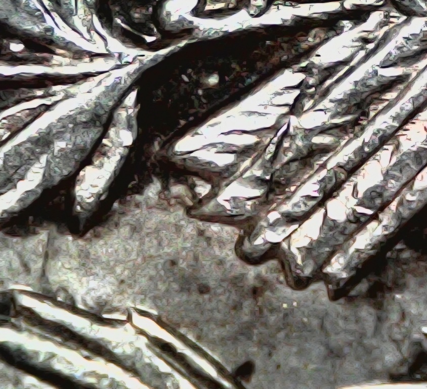 Morgan-Dollar-1885-0-New-VAM?