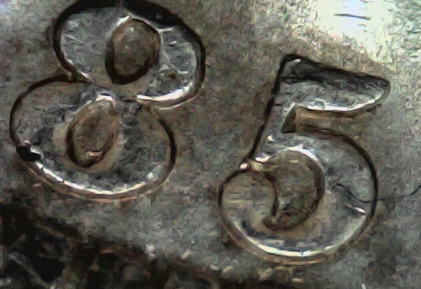 Morgan-Dollar-1885-0-New-VAM?