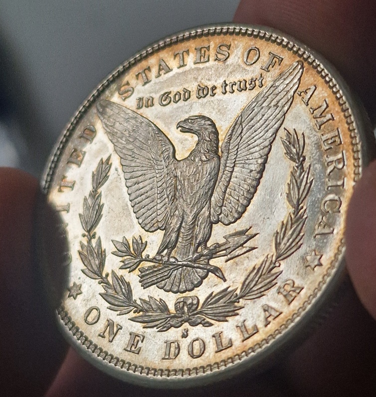 Coin-Dipping-Question-Morgan-Would-This-Reverse-Respond-Well-To-Dipping-1881-S