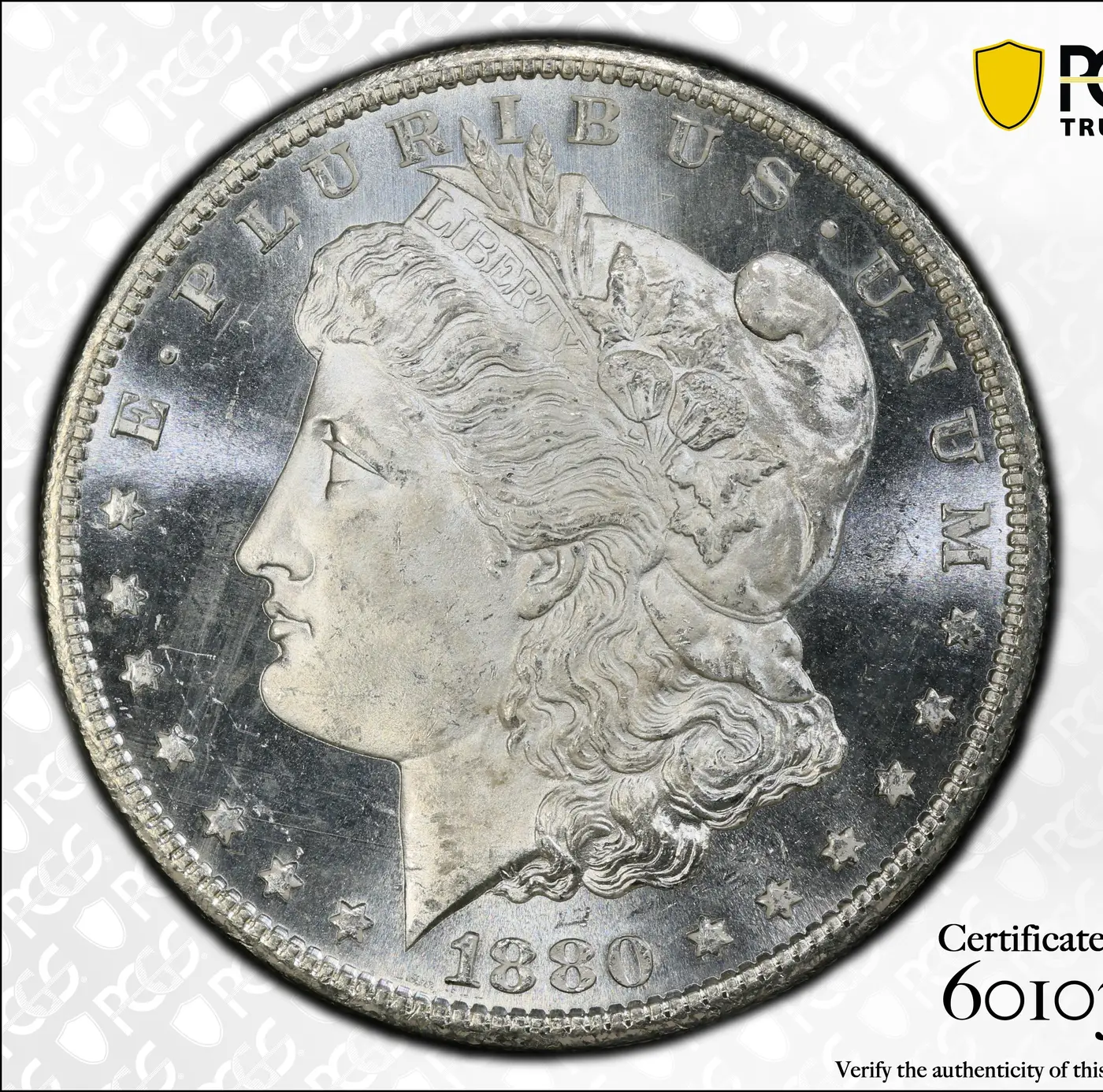 Buying-Advice-Is-This-A-Good-Graded-1880-MS-66-Pl