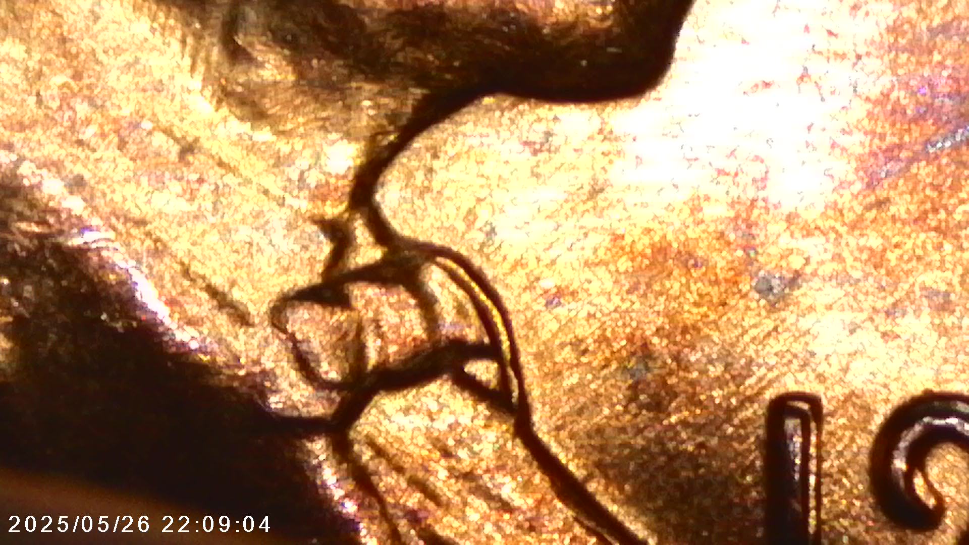 1958-D-Lincoln-Wheat-Cent---Die-Crack/Spiked-Head-In-