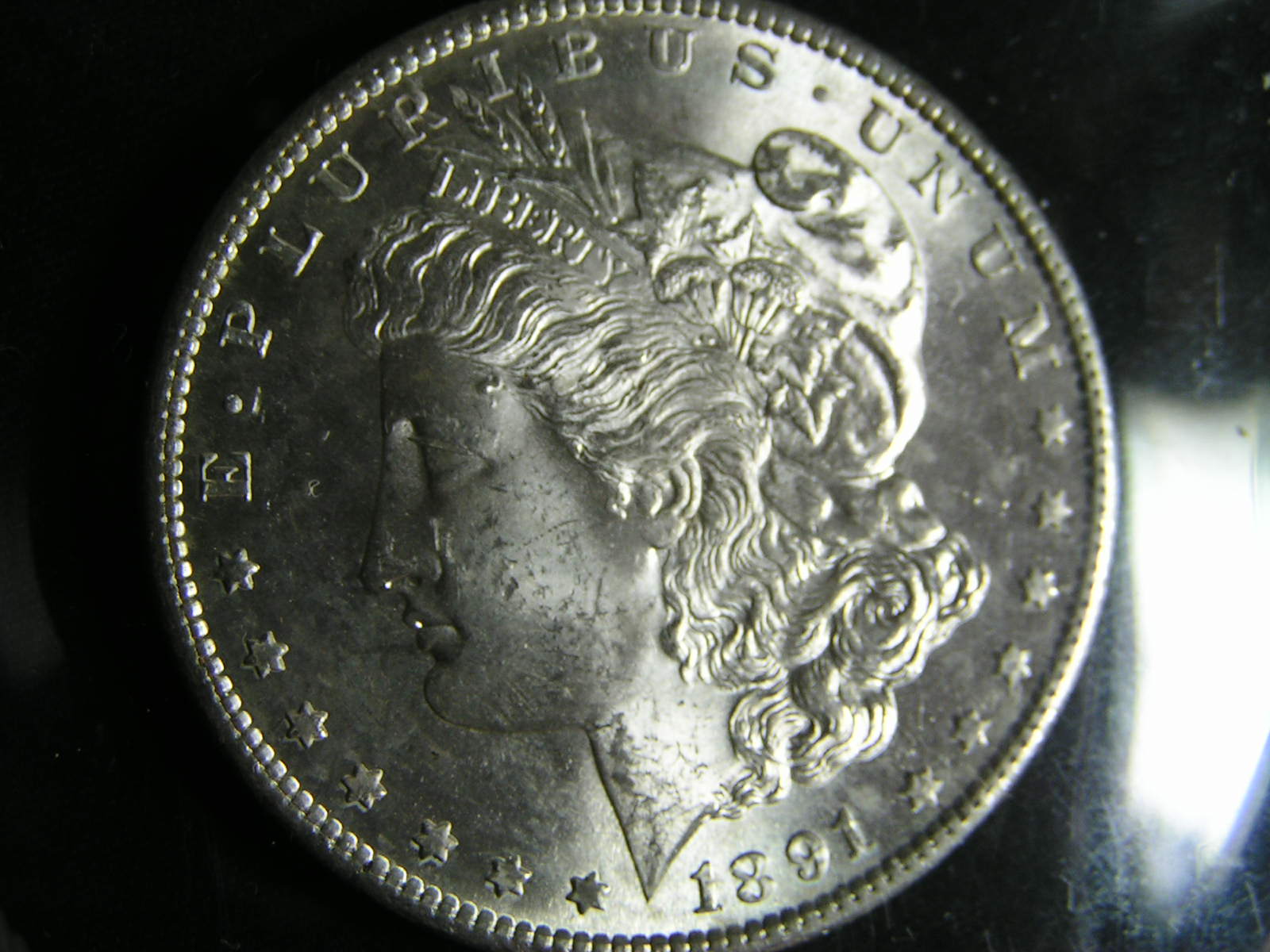 1891-S-Morgan-Dollar-For-Grade-#10
