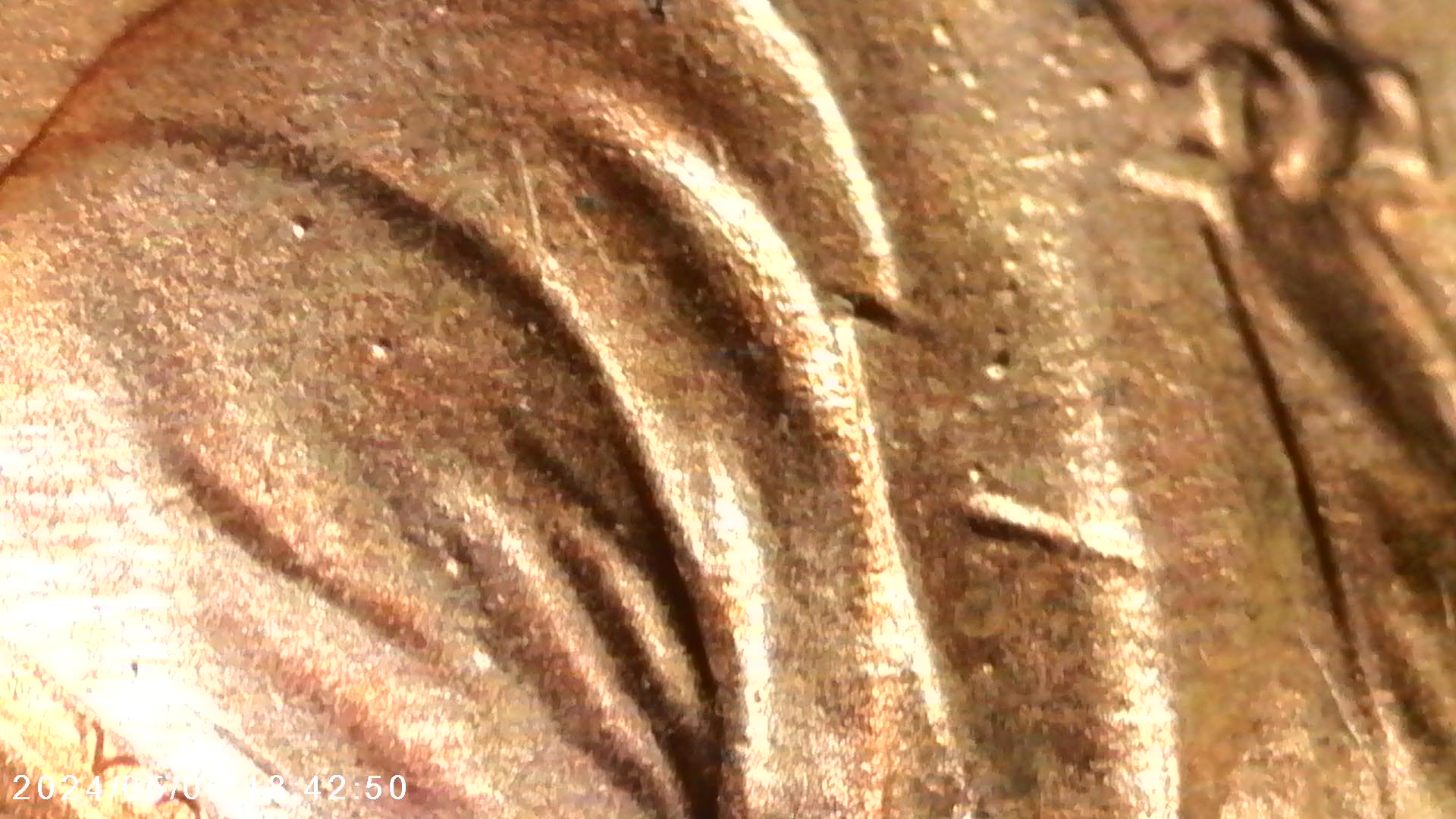 1982-D-Small-Date-Zinc-Lincoln-Cente-Die-Gouge-And-Raised-Dots