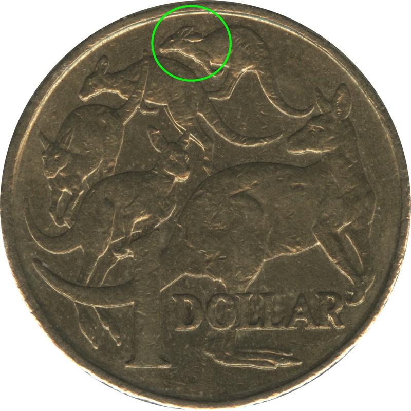 Post-Your-Coin-Error-Finds-Pics---My-Gift-To-The-Coin-Community