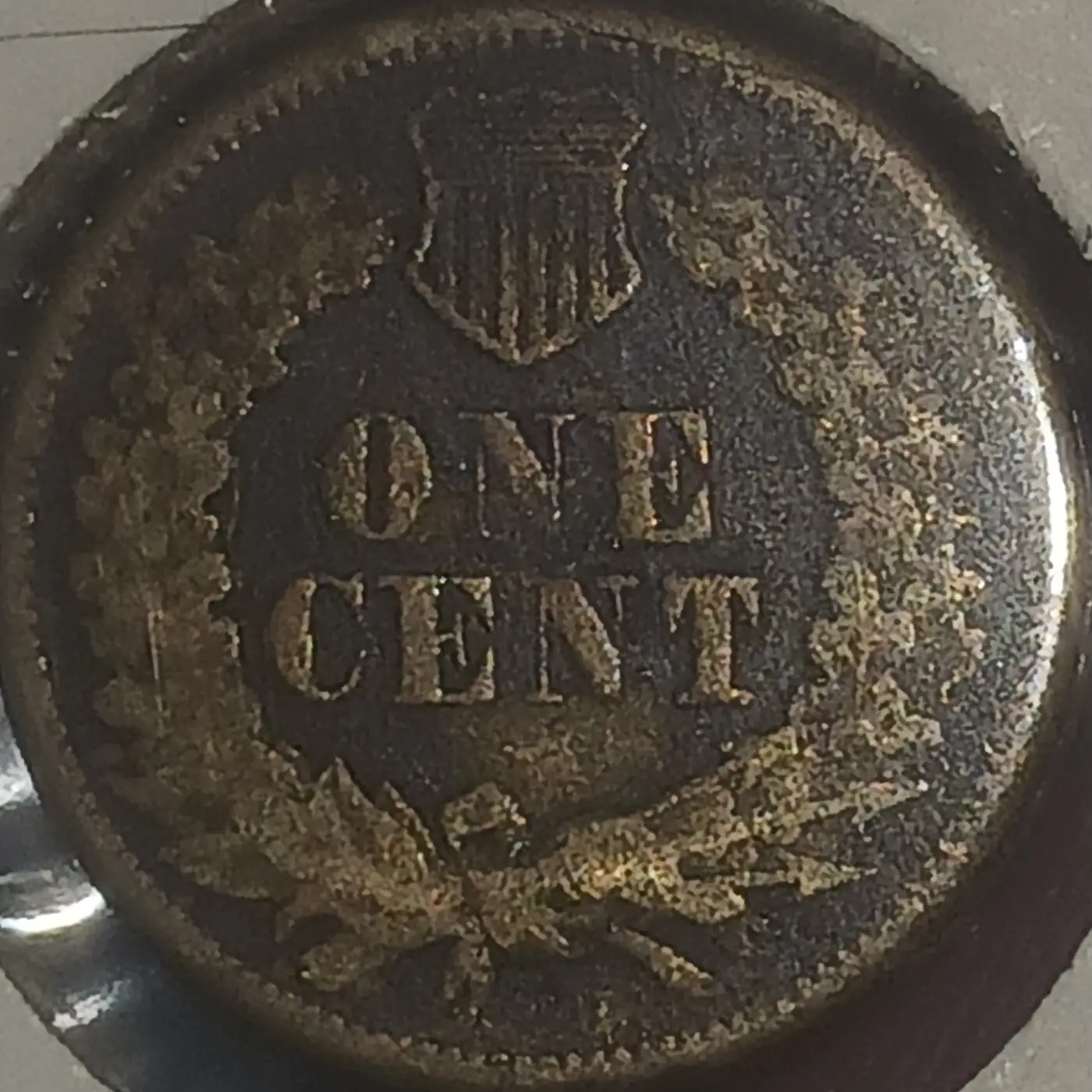 Yet-Another-Forum-Game---Numismatic-Go-Fish!