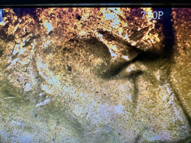2020-D-Lincoln-Penny-Eyebrow-Error?
