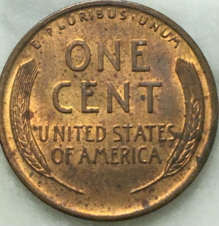 Would-You-Buy-This?-How-Much-Would-You-Pay?